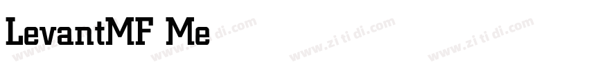 LevantMF Medium字体转换